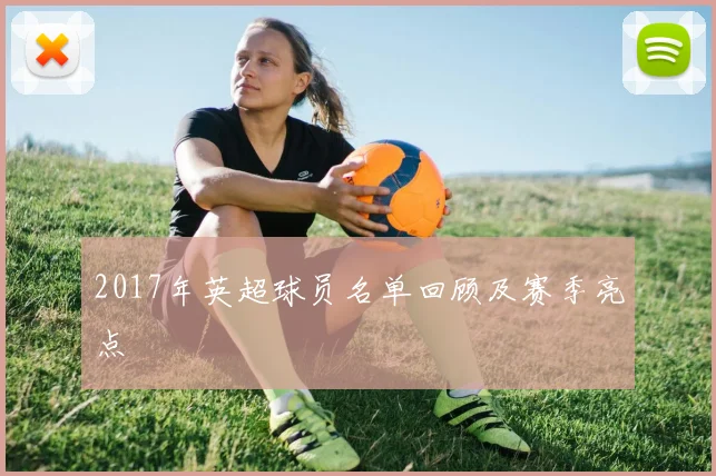 2017年英超球员名单回顾及赛季亮点