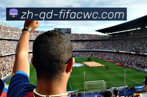 世界杯在线观看发展历程