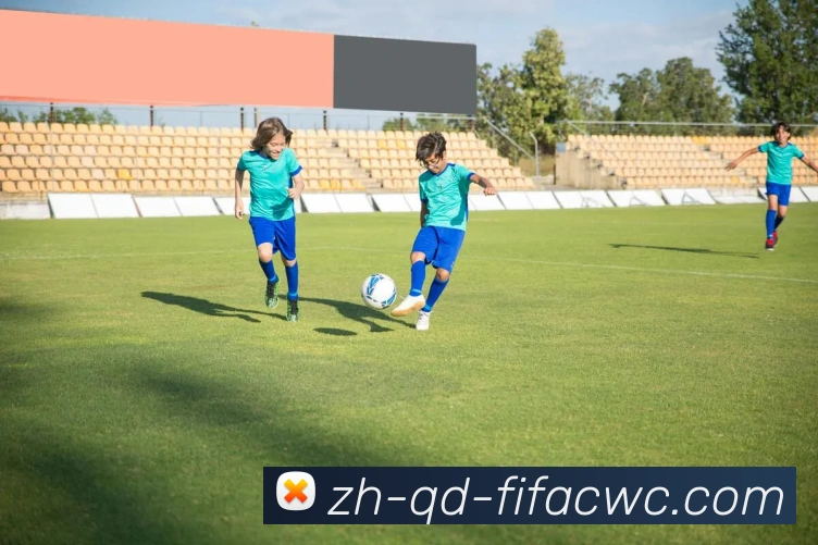 2017年火箭队球员年薪数据统计与比较