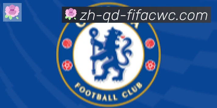 世界杯在线观看合作伙伴
