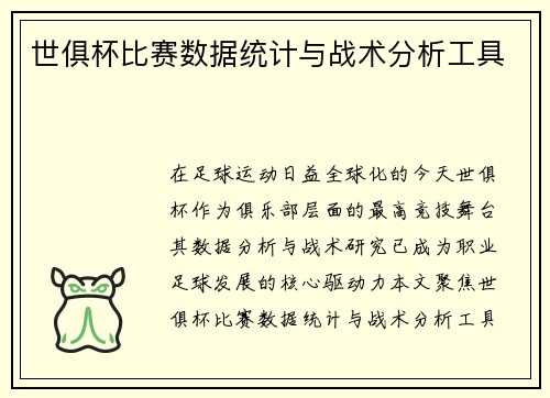 世俱杯比赛数据统计与战术分析工具